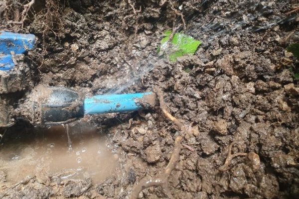 Water Mains Leak Detection Huntingdon